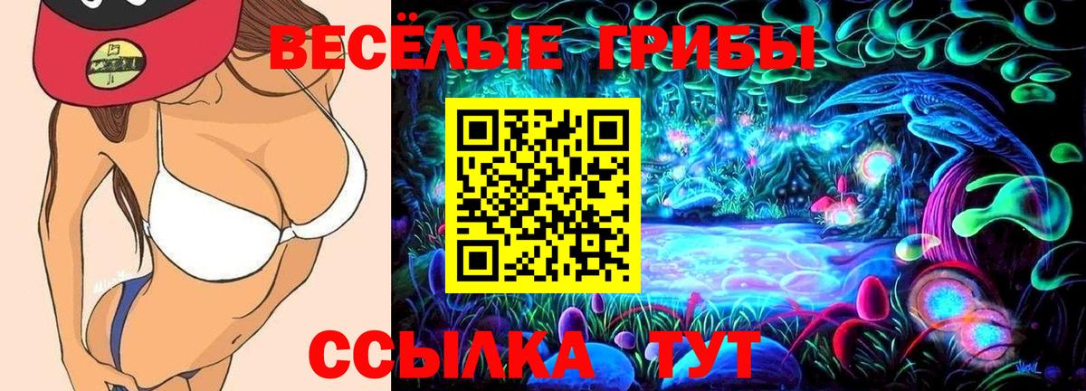 Гудермес  наркотики  Вход с VPN  Галлюциногенные грибы мицелий 