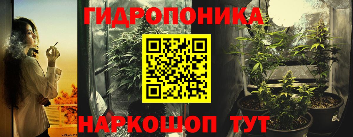 Конопля тримм Гудермес